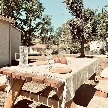 Holiday home Etang Vallier *